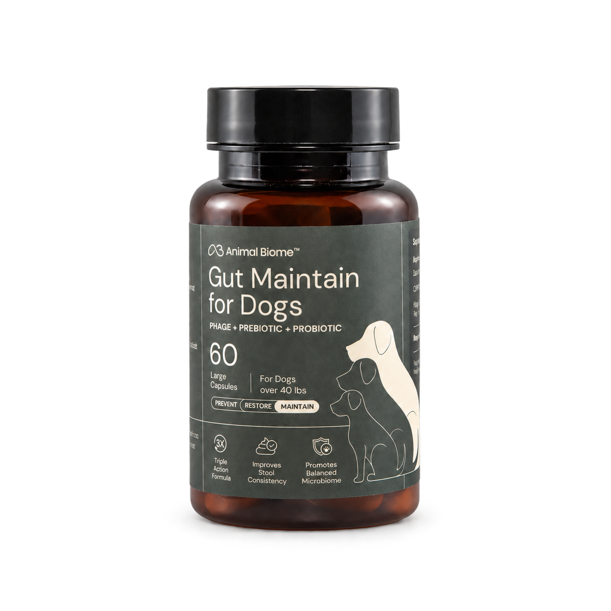 AnimalBiome Gut Maintain for Dogs, 60 large capsules — packaging