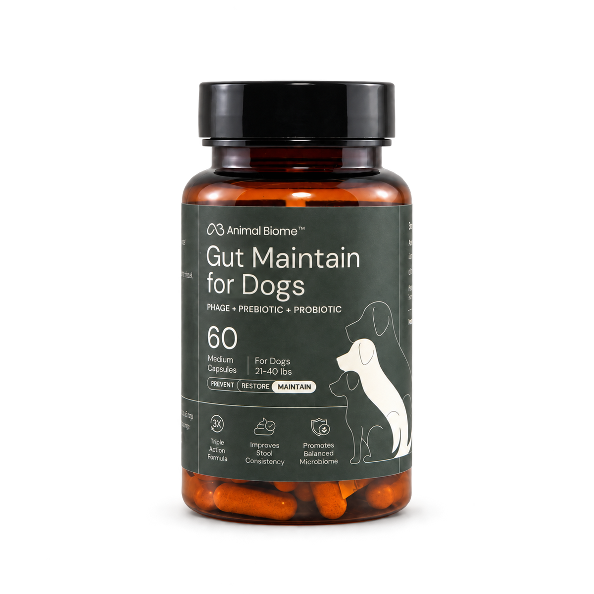 AnimalBiome Gut Maintain for Dogs, 60 medium capsules — packaging