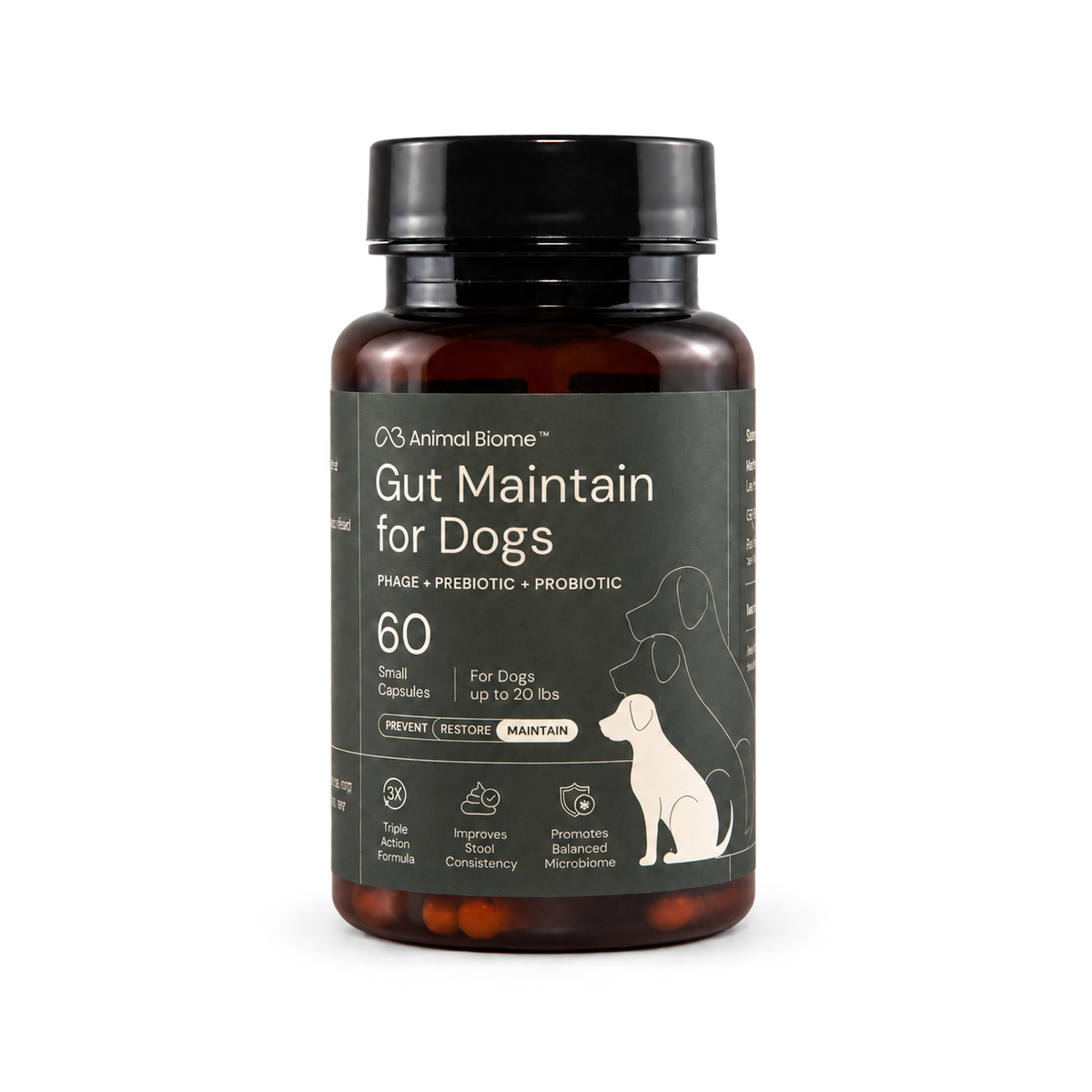 AnimalBiome Gut Maintain for Dogs, 60 small capsules — packaging