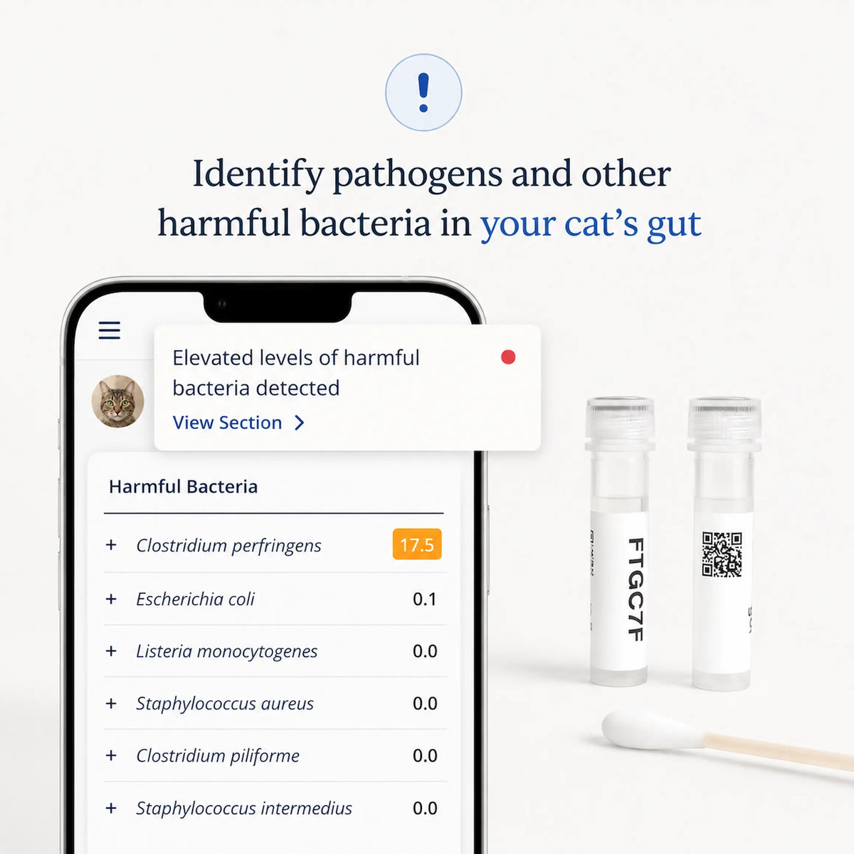 Cat gut microbiome test report on a phone showing harmful bacteria detected, with sample tubes and swab
