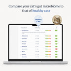 Laptop showing a cat's gut microbiome results compared with healthy cats