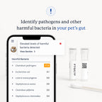 Dog gut microbiome test report on a phone showing harmful bacteria detected, with sample tubes and swab