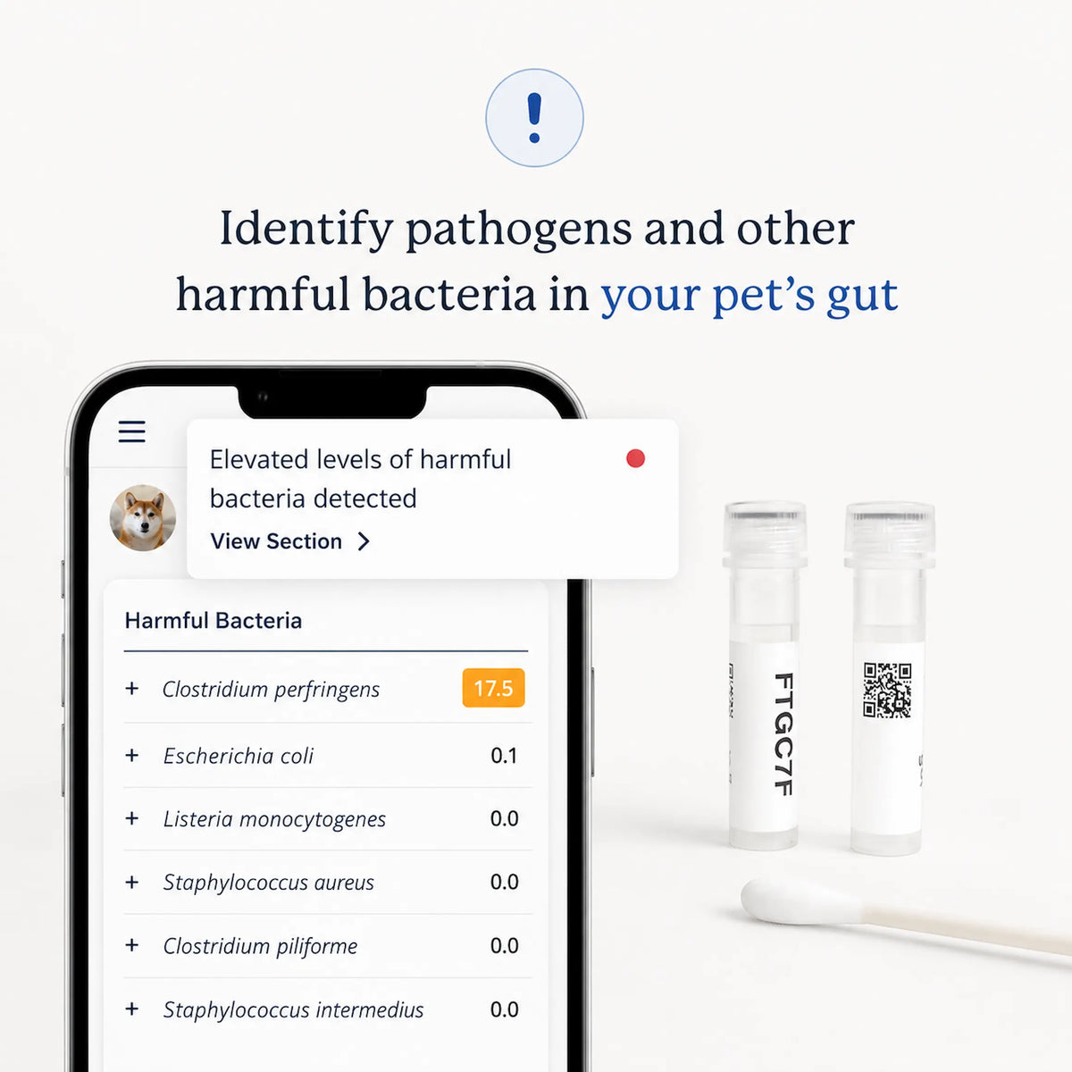 Dog gut microbiome test report on a phone showing harmful bacteria detected, with sample tubes and swab