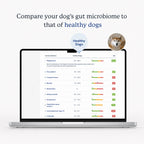 Laptop showing a dog's gut microbiome results compared with healthy dogs